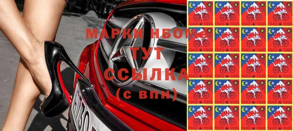 стафф Алексин