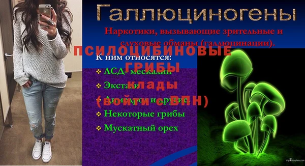 винт Алзамай