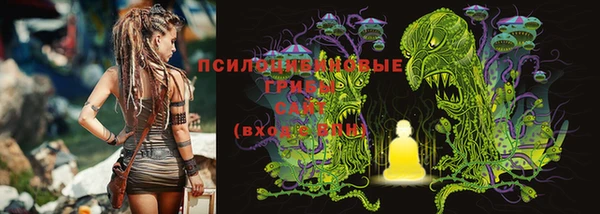 винт Алзамай